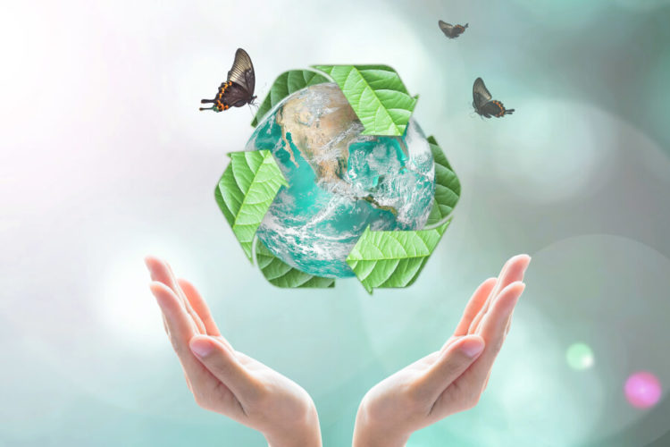 Nuevo proyecto de implementación de Envases Biodegradables